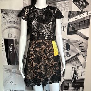 Bronx and Banco Emiko Lace Mini Dress